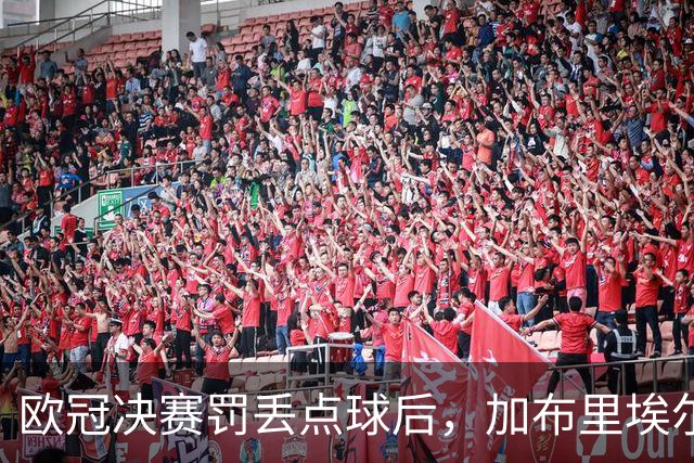 欧冠决赛罚丢点球后，加布里埃尔承诺：再有点球我还上